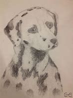 Image result for Dalmatian Sketch