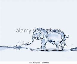 Image result for Elephant Trunk Spraying Water Template