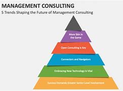 Image result for Management Consulting Diagrams