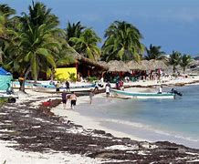 Image result for Cozumel Quintana Roo