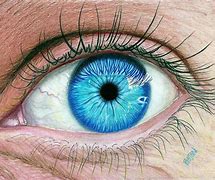 Image result for Realistic Eye