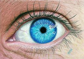 Image result for Realistic Blue Eye Texture