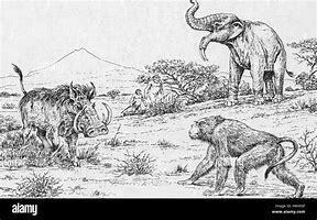 Image result for Extinct Animals Drawing