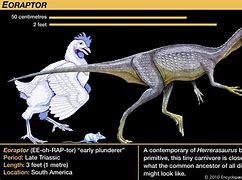 Image result for Bat-Like Dinosaur