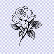 Image result for Rose Drawing Svg