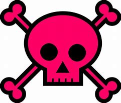 Image result for Girly Skull and Crossbones