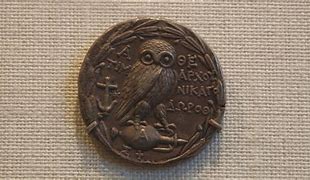 Image result for Owl Coin