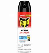 Image result for Raid Ant Spray