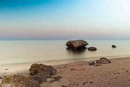 Image result for Red Sea Fishing