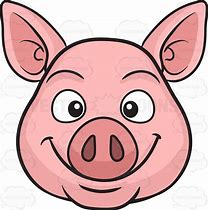 Image result for Smiling Pig Face