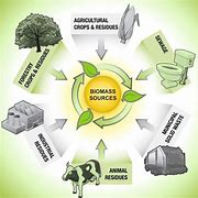 Image result for How Does Biomass Energy Work