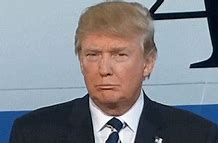 Image result for Cat of Trump GIF