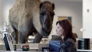 Image result for Happy Hump Day Commercial