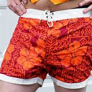 Image result for Hawaiian Swim Trunks