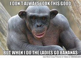 Image result for Funny Monkey Love