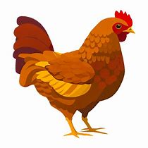 Image result for Ta Da Chicken Graphic Design