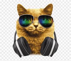 Image result for Hard House DJ Cat