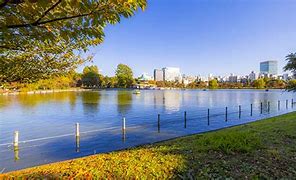 Image result for Ueno Park in Summer