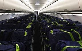 Image result for Airbus A320 Bulk Luggage