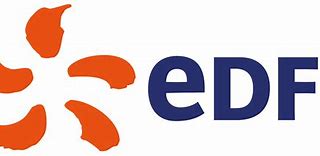 Image result for EDF India Logo