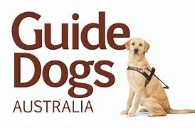 Image result for Guide Dog PNG