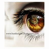 Image result for Macro Eye Photography