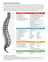 Image result for Spinal Nerve Innervation Chart