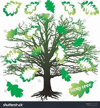 Image result for Family Tree with Leaves