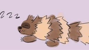 Image result for Zigzagoon Sleeping