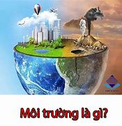 Image result for Khái Niệm Môi Trường