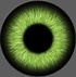 Image result for White Eye Texture