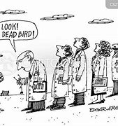 Image result for Funny Dead Bird