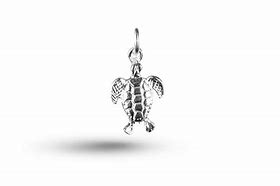 Image result for Openable Turtle Charm