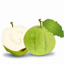 Image result for Guava Twigs