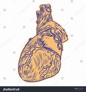 Image result for Realistic Human Heart Tattoo