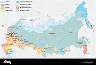 Image result for Russia Forest Map