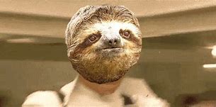 Image result for Sloth Haircut Meme