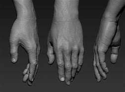 Image result for Hand Model for Drawing