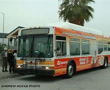 Image result for MTA Bus 7802