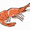 Image result for Shrimp Clip Art