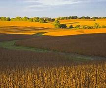 Image result for Camoing in Albion Nebraska