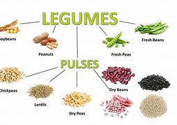 Image result for Best Food with Legumes