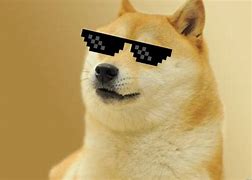 Image result for Doge Meme Wallpaper 1920X1080