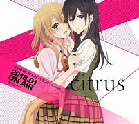 Image result for Citrus Anime Aesthetic