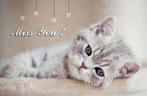 Image result for Cute Miss You Cards