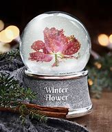 Image result for Steelers Snow Globe