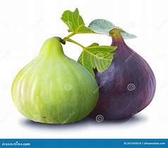 Image result for Fig Fruit Clip Art