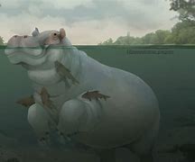 Image result for Monster Hippo