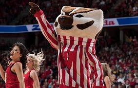 Image result for UW-Madison Badgers