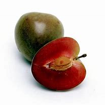 Image result for Elephant Heart Plum